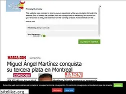 Sites similar to miguelangel-martinez.com