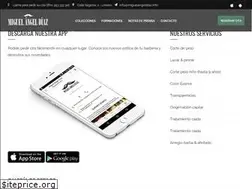Sites similar to miguelangeldiaz.info