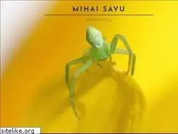 Sites similar to mihaisavu.com