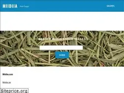 Sites similar to miidiia.com