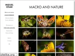 Sites similar to mikecesar.com