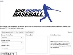 Sites similar to mikemurphybaseball.com