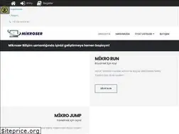 Sites similar to mikroserbilisim.com