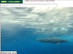 Sites similar to mikura.info