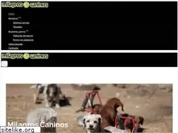 Sites similar to milagroscaninos.org