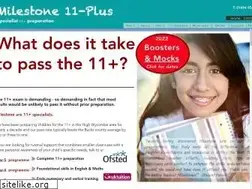 Sites similar to milestone11plus.com