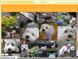 Sites similar to milkichi.com