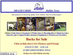 Sites similar to millershowgoats.com