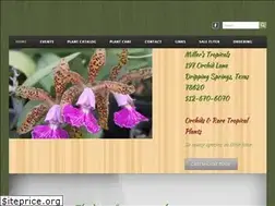 Sites similar to millerstropicals.com