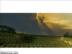 Sites similar to millesimes-et-saveurs.com