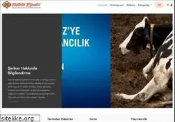 Sites similar to milletinefendisi.com