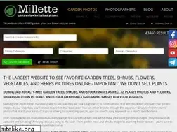 Sites similar to millettephotomedia.com