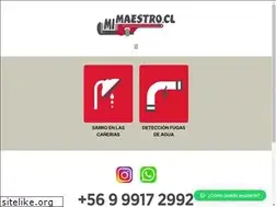 Sites similar to mimaestro.cl