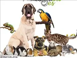 Sites similar to mimascotaweb.es