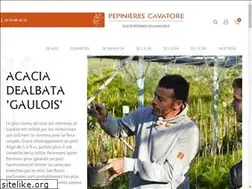 Sites similar to mimosa-cavatore.fr
