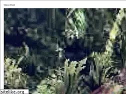 Sites similar to mimosaechard.com