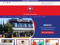 Sites similar to mimozaozelegitim.com