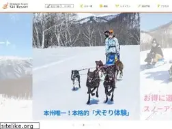 Sites similar to minakami-ski.jp