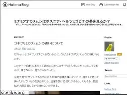 Sites similar to minamiaokame.com