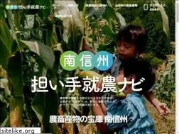 Sites similar to minamishinshuu.net