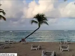 Sites similar to minded.fr