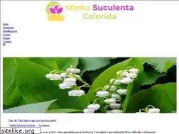Sites similar to minhasuculentacolorida.com