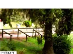 Sites similar to mini-a-thuer.de