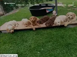 Sites similar to mini-labradoodle.de