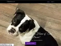 Sites similar to miniatureboxer.net