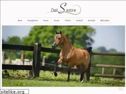 Sites similar to miniaturpferdezucht.de
