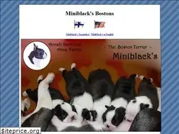 Sites similar to miniblacks.fi