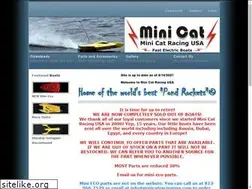 Sites similar to minicatracingusa.com
