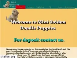 Sites similar to minigoldendoodlepuppies.com