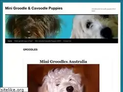 Sites similar to minigroodles.com