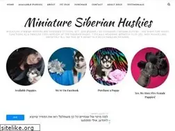 Sites similar to minihuskies.net