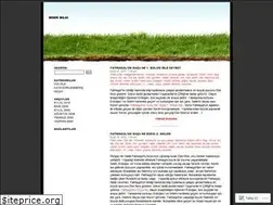 Sites similar to minikbilgi.wordpress.com