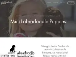 Sites similar to minilabradoodlepuppies.com