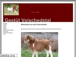 Sites similar to minishetty-veischedetal.de