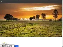 Sites similar to minkowsky.com