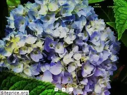 Sites similar to minnesotavalley.com