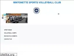 Sites similar to mintonettesports.com
