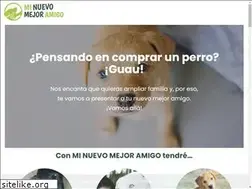 Sites similar to minuevomejoramigo.com