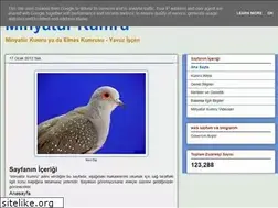 Sites similar to minyaturkumrular.blogspot.com