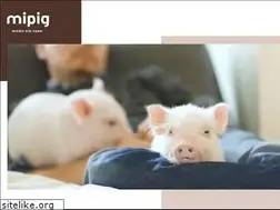 Sites similar to mipig.co.jp