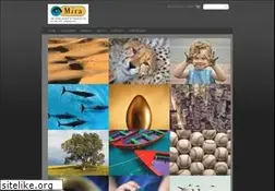 Sites similar to mira.com