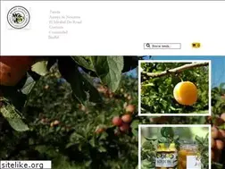 Sites similar to mirabeldorosal.com