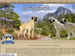 Sites similar to mirkangalov.ru