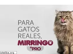 Sites similar to mirringo.com.co