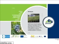 Sites similar to mirtilusa.com