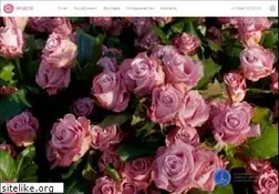 Sites similar to mirtsvetov.ru